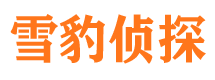 莲花市侦探公司